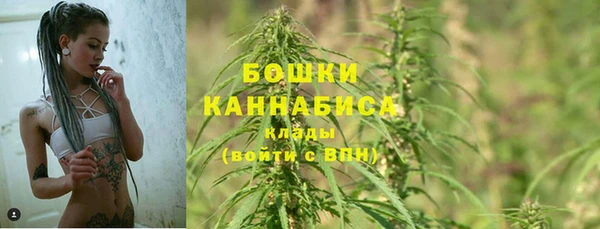 шишки Богородск