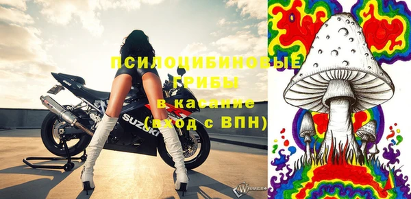 шишки Богородск