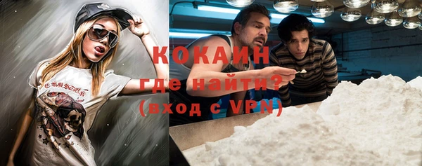 шишки Богородск