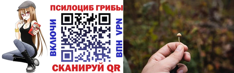 Псилоцибиновые грибы мухоморы Бологое